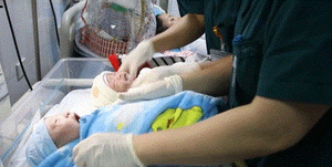 Ngắm nhìn những công dân đầu tiên năm Canh Tý